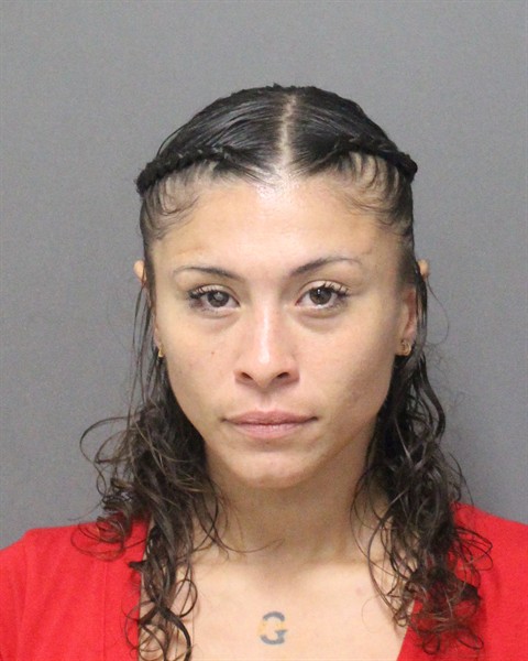 Mugshot of JULISSA ELENA ORTIZ