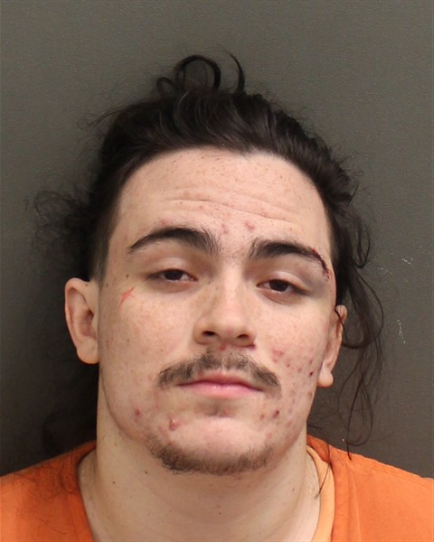 Mugshot of JADEN PHILLIP HENSELIN