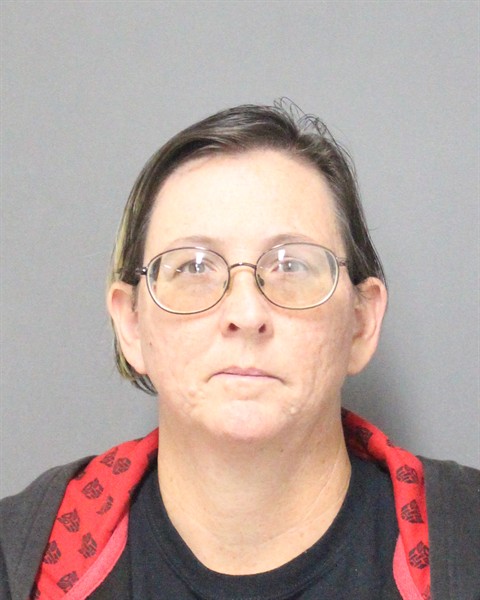 Mugshot of MICHELLE DAWN METCALF