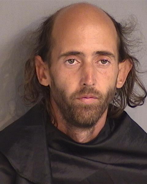 Mugshot of MARTIN JOHNSON FLEGEL