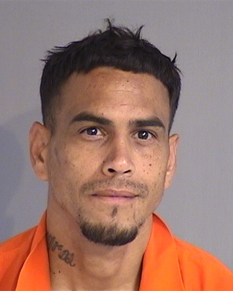 Mugshot of ERICK SEPULVEDA-TORRES