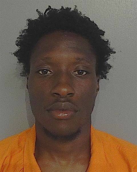 Mugshot of SMIRNOLD KENNY MONTINAT