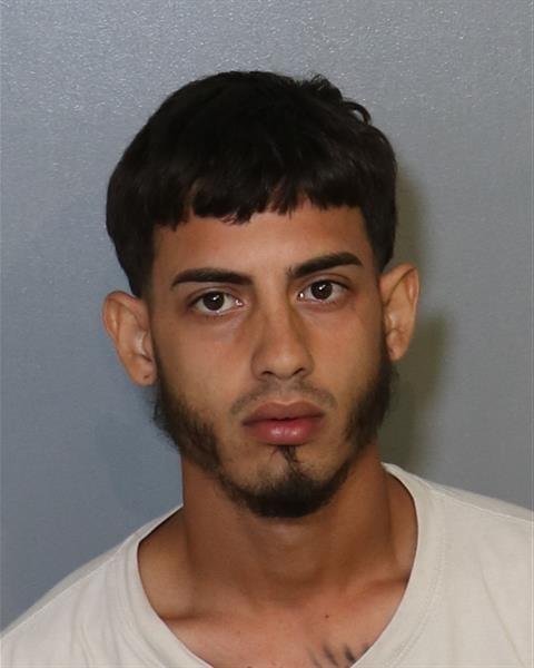 Mugshot of HAROLD BLANCO