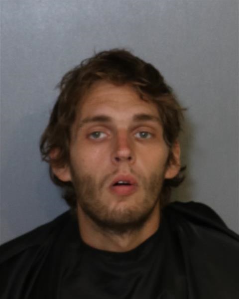 Mugshot of DAVID RYAN LOSHAW