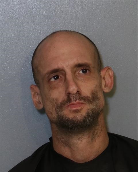 Mugshot of CHARLES THEODORE FERGUSON