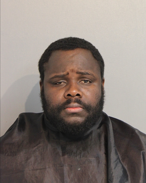 Mugshot of VLADIMIR MATHIEU