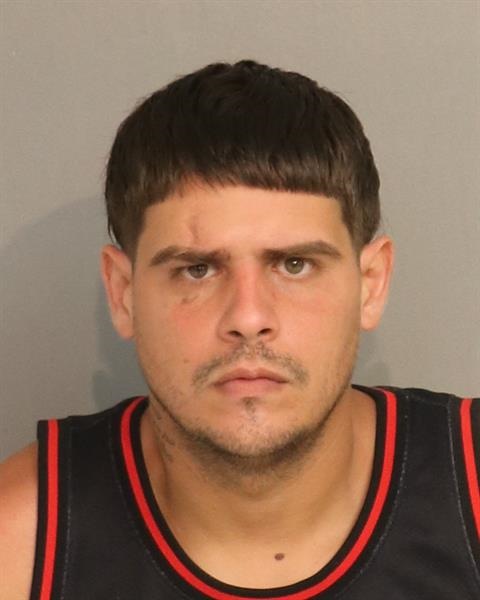 Mugshot of ANDRES ANTONIO FRANCO-PAGAN