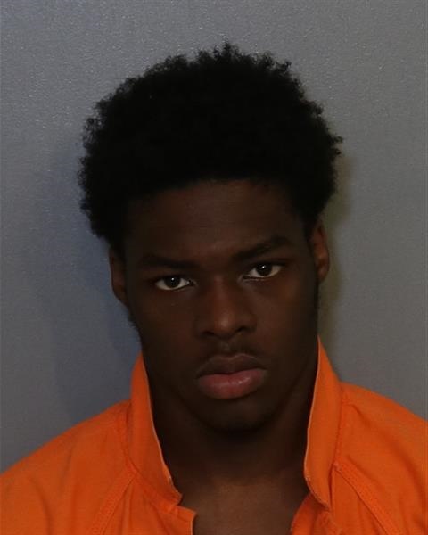 Mugshot of NAPOLEON MARQUIS LOUVERTURE