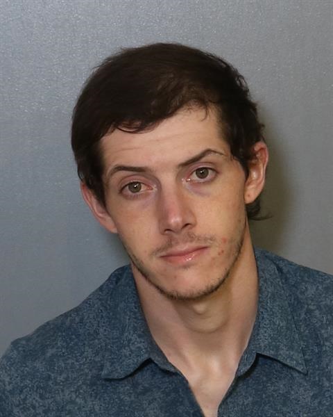 Mugshot of TRISTAN STEVEN DIXON