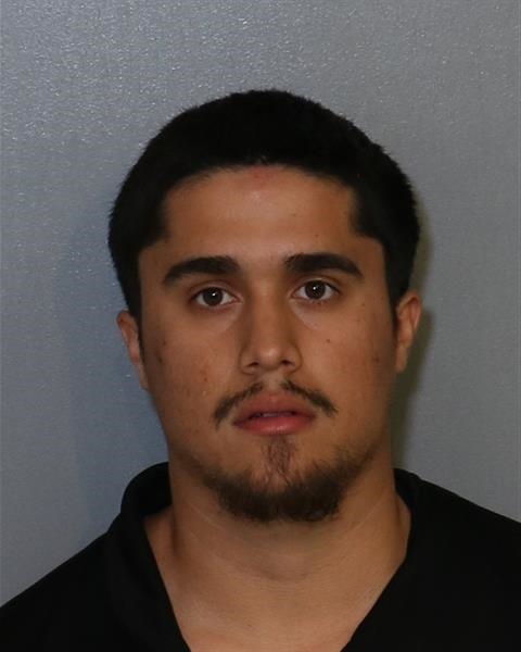 Mugshot of CHRISTOPHER VINCENT PINEDA