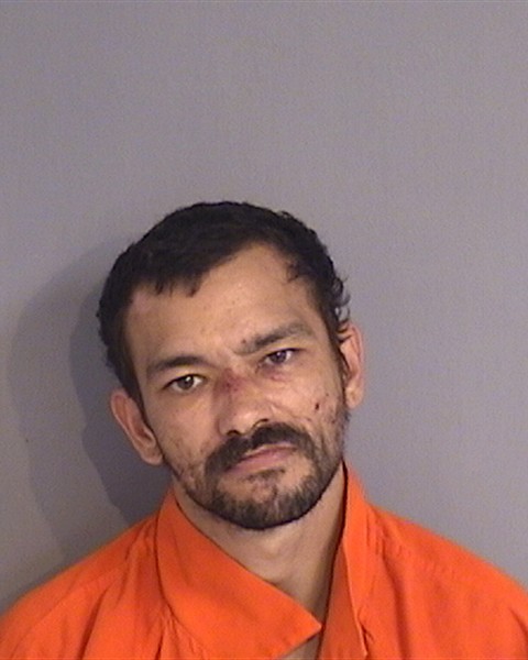 Mugshot of LOUIS MARK MICHAELS