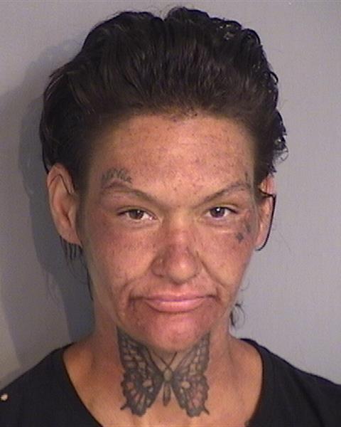 Mugshot of BRIDGETTE ANN DEROCHE