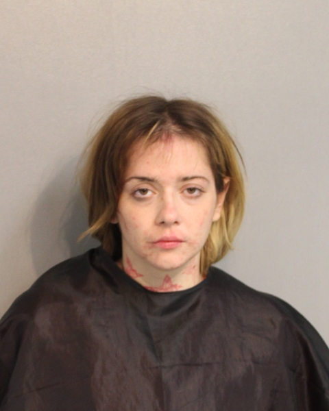 Mugshot of VANESSA LYNN LAPORTE