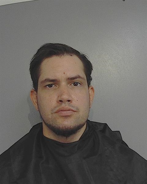 Mugshot of DYLAN SCOTT CASE