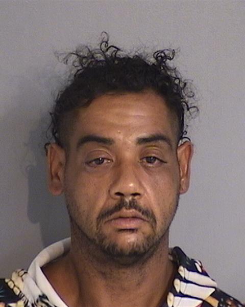 Mugshot of RALDY BATISTA