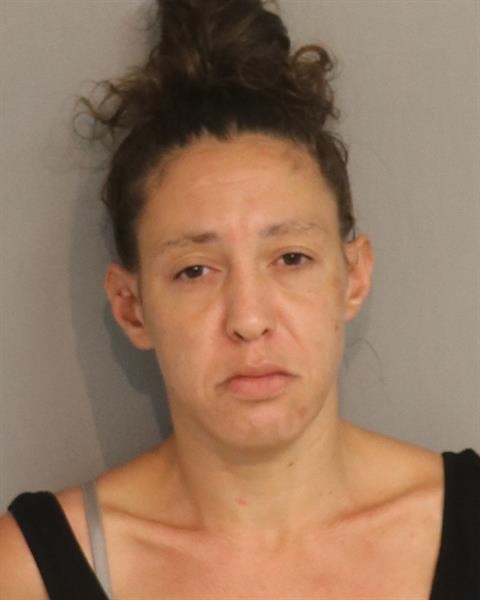 Mugshot of VANESSA NICKOLE GUY