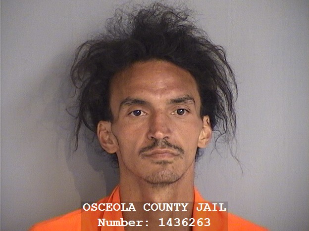 Mugshot of JOHNNY GERMAN PUJOL