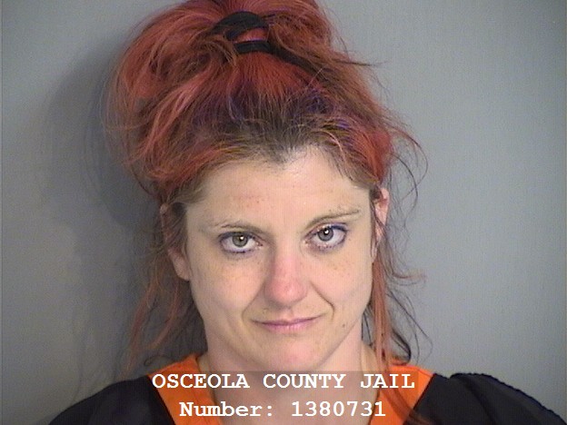 Mugshot of LAURA ANN ALVARENGA