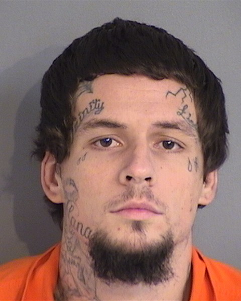 Mugshot of TIMOTHY LEE-JACOB MCMILLAN