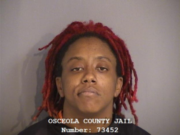 Mugshot of LANESHA BRIANNA WILLIAMS