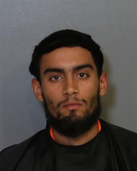 Mugshot of LUISDANIEL CHAMORRO