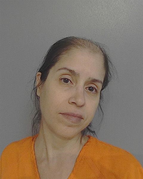 Mugshot of WANDA SANTIAGO