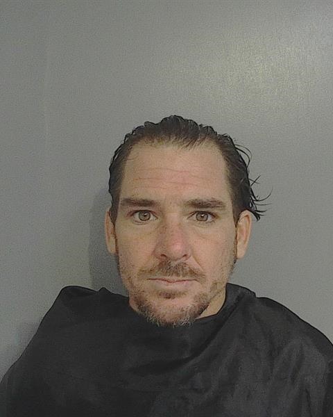 Mugshot of SCOTT MIKEL WALSH