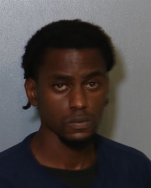 Mugshot of ALLEN VERGER