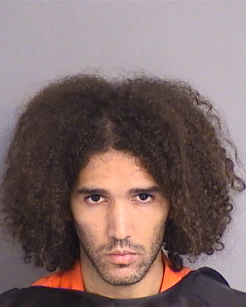 Mugshot of NICHOLAS HENRIQUE GOMES
