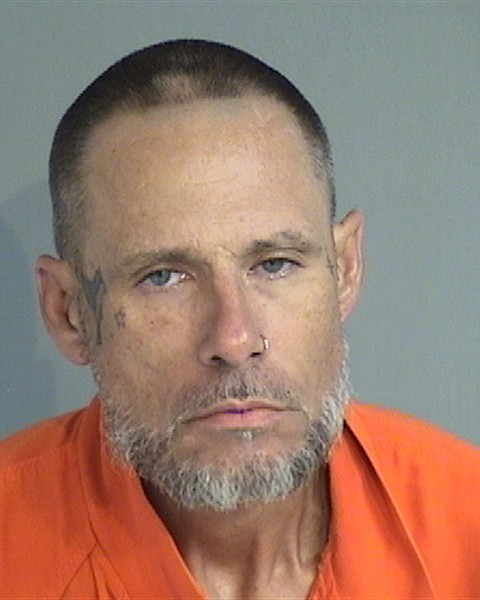 Mugshot of DEWAYNE JOHN ZOLYNIAK