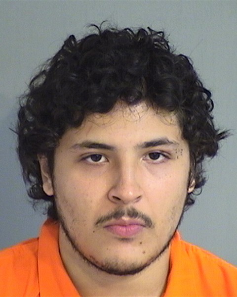 Mugshot of CHRISTOPHER ROBIN HINCAPIE