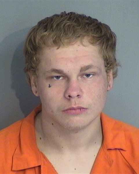 Mugshot of DANIEL GARY GAMMON
