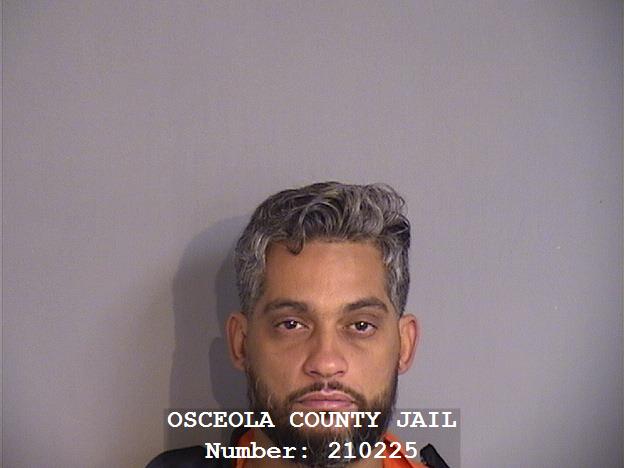 Mugshot of ROBIN RAFAEL PAGAN