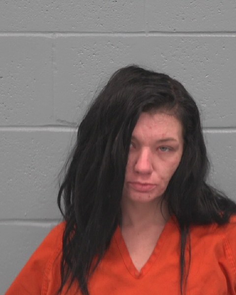 Mugshot of AMANDA HELEN GEORIANNA ELGERS