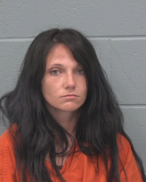 Mugshot of AMY ELIZABETH MCDONALD