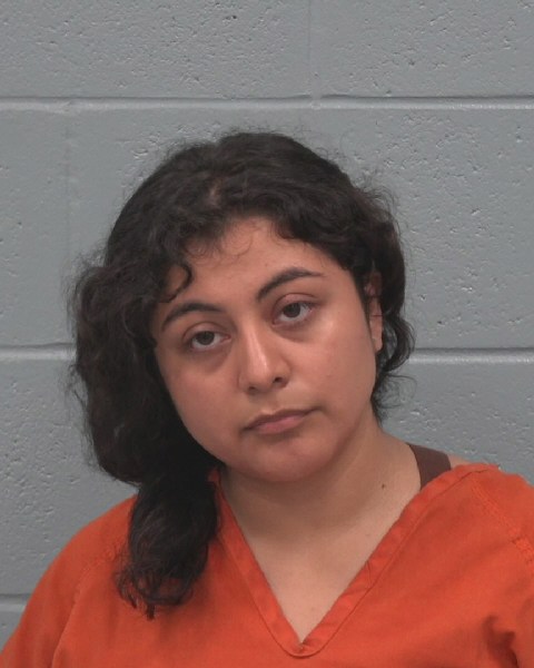 Mugshot of SAMANTHA NICOLE CARDOSO