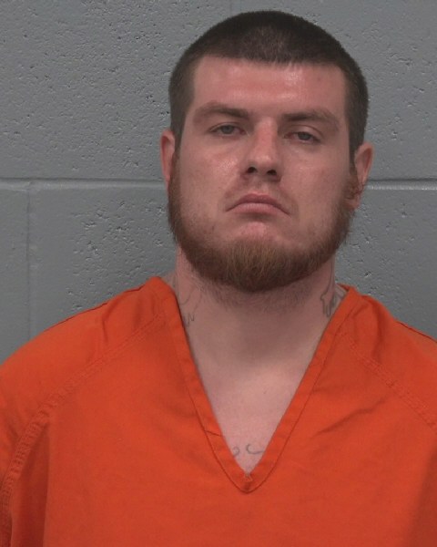 Mugshot of HARLEY RAY MCCLELLAND