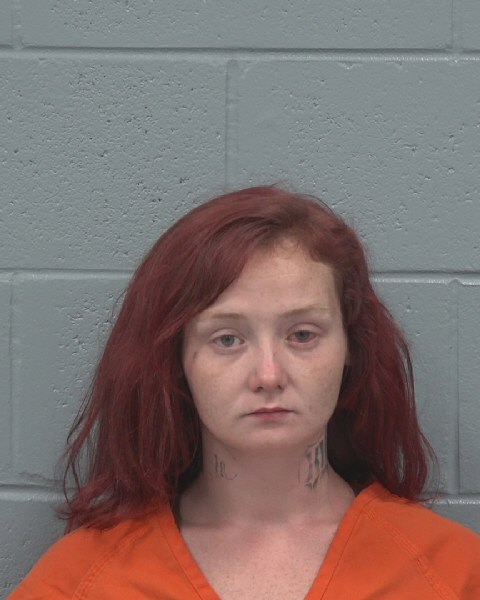 Mugshot of HARLEY ANN SIKES