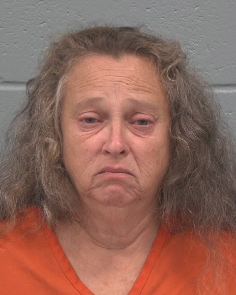 Mugshot of THERESA NATALIE GUARDINO