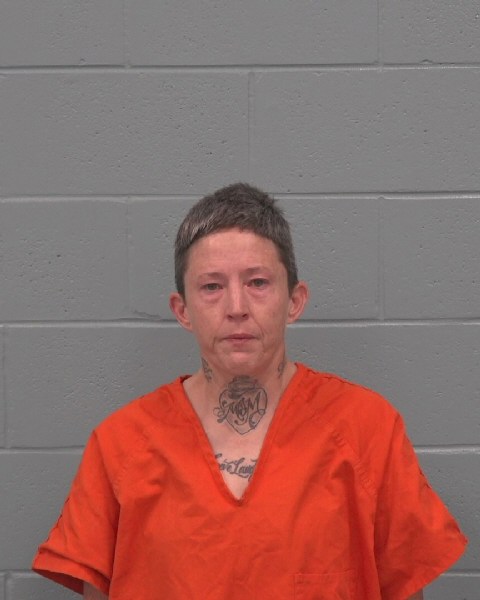 Mugshot of DENICE LEA MERCER