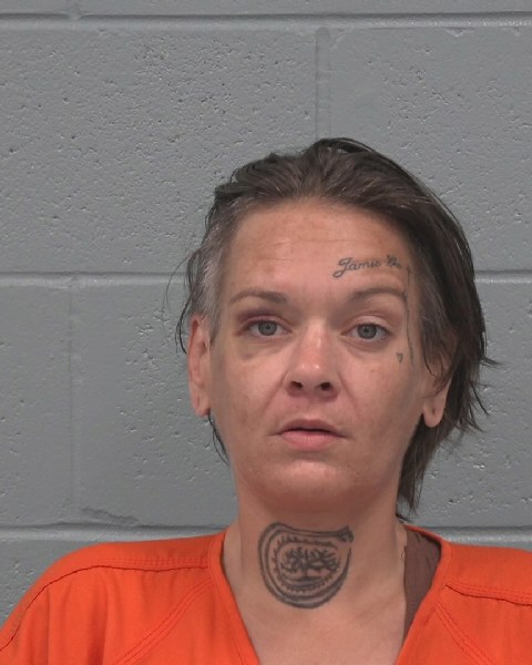 Mugshot of JAMIE LEE JACKSON