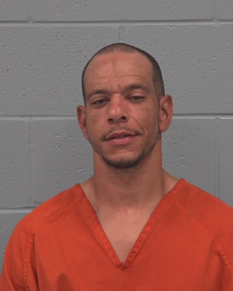 Mugshot of ROBERT LOGAN CELLUCCI