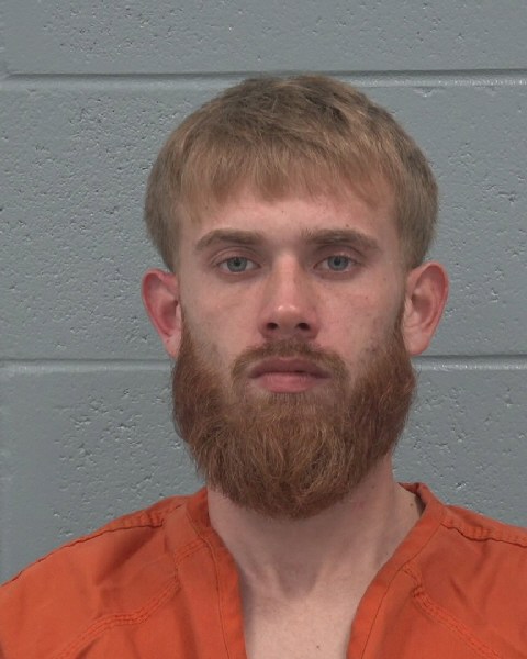 Mugshot of DAYTON WILLIAM PARKS