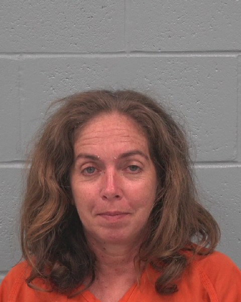 Mugshot of BONNIE LYNETTE DESIMONE