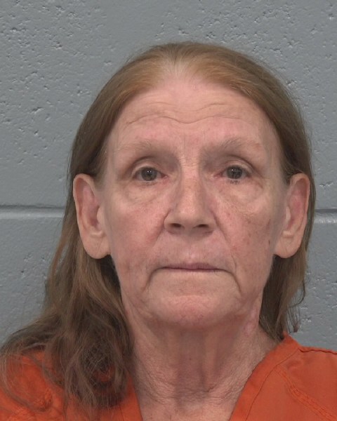 Mugshot of LESLIE ELLEN HEFFNER