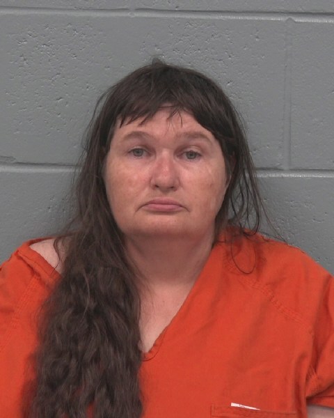 Mugshot of LISA DIANE BOWSER