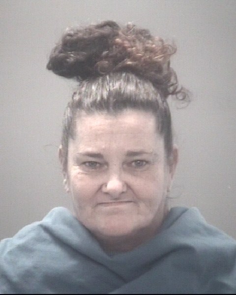 Mugshot of SUSAN MICHELLE BARRS