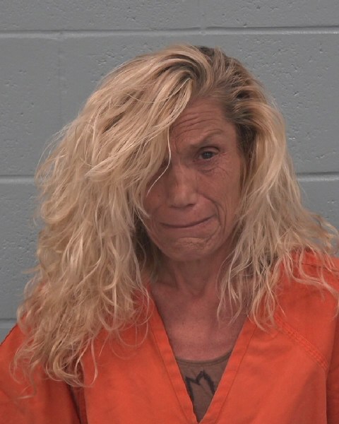 Mugshot of PATRICIA MARIE HOGAN
