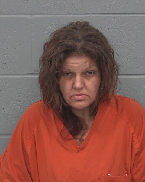 Mugshot of NICOLE LEE MOODY