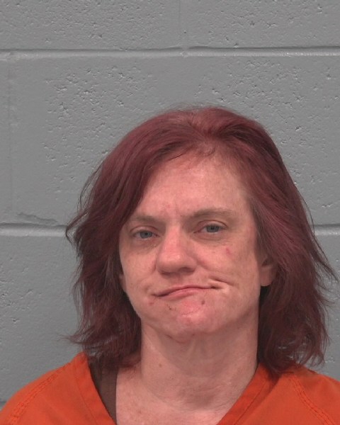 Mugshot of LISA FAYE CHESAROK